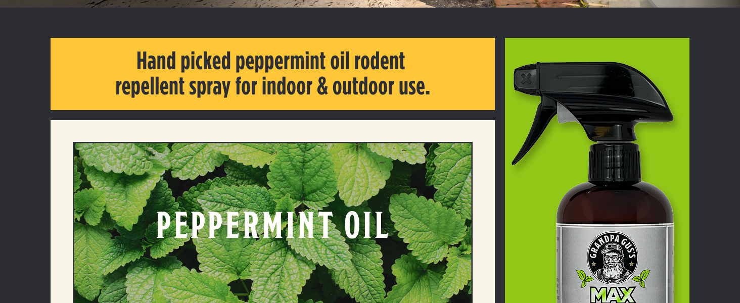 Desktop_MAXRodentRepellentSpray