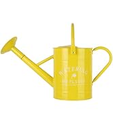 Garutom Galvanized Watering Can for Outdoor Indoor Plants, 1 Gallon Decorative Countryside Water ...