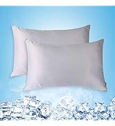 Cooling Pillow Cases Queen Size Set of 2 with Double Sided Cold, Moisture Wicking Pillowcase Cove...