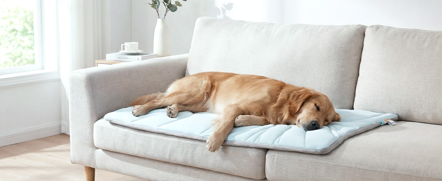 Dog Mat Use Indoor