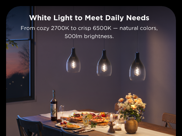 Govee smart edison bulbs ST19 white light dimmable