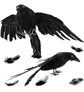 Noamus 2 Pack Realistic Crows Halloween Decoration, Lifesize Handmade Feathered Ravens, Large Fak...