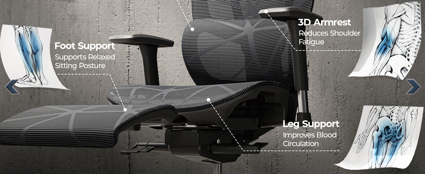 ergonomic office chair