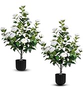Hananona 2 Pcs Artificial Camellia Trees Faux Camellia Plant in Pot with Flowers Indoor Plants fo...