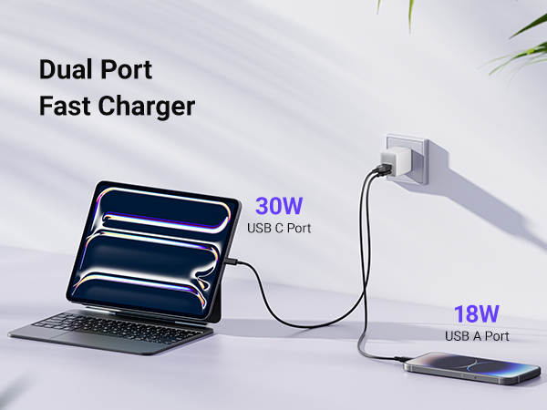 dual port fast charger
