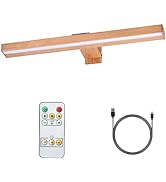 MIOBLUE LED Picture Light Battery Operated with Remote, 16in Rechargeable Picture Light for Paint...