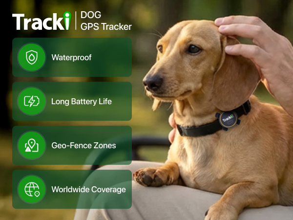 Dog Tracker waterproof long battery life geo fence world wide coverage