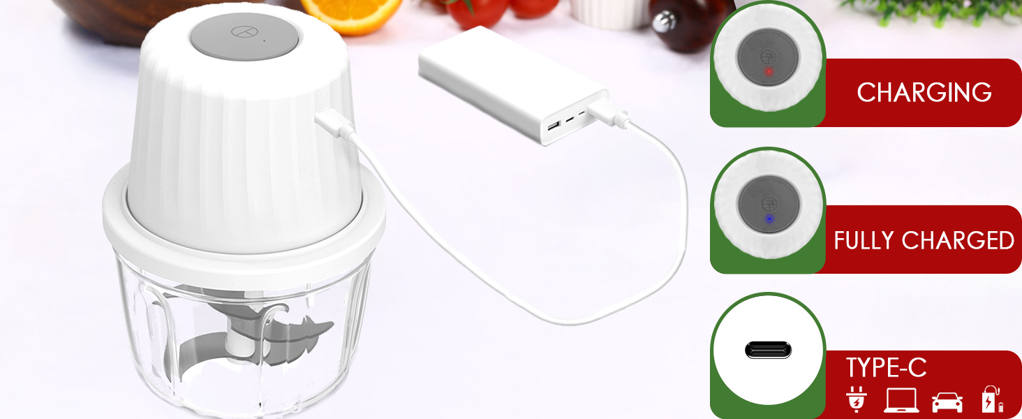 electric food processor