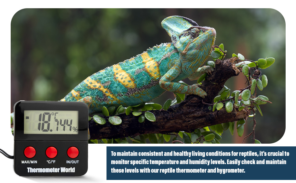 Colorful chameleon on branch with digital thermometer display. Text mentions maintaining temperature and humidity for reptiles.