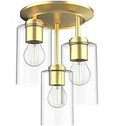 Kalium Light Fixtures Ceiling Mount,3-Light Modern Close to Ceiling Light Fixtures,Replaceable Bu...
