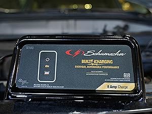 Automatic car battery charger with auto voltage detection, multi-stage charging &amp;amp; trickle charging.