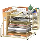 ReePlan Desk Organizer with Magazine Holder, 5-Tier Paper Organizer for Desk with Pen Holder, Pap...