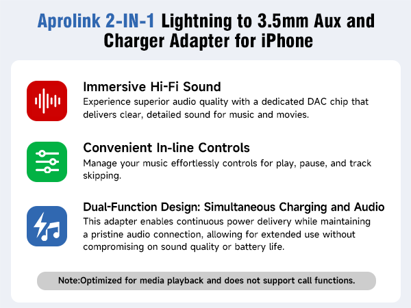 iphone aux and charger adapter