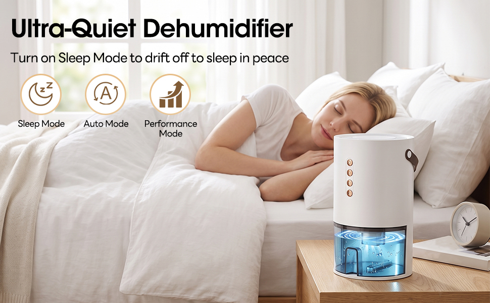 Ultra-quiet dehumidifier