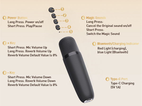Portable Karaoke Machine
