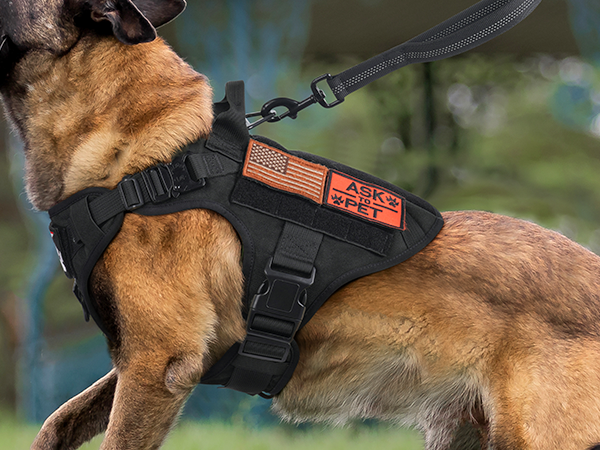 dog harness