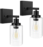 Ascher 1-Light Vanity Wall Light, Vintage Wall Sconces Lamp with Clear Glass Shade for Mirror Bed...