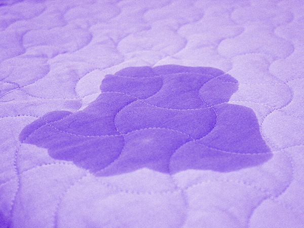 2 Pack Black Light Flashlights with 12 LED and 395 nm Black