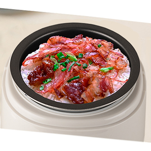 mini rice cooker