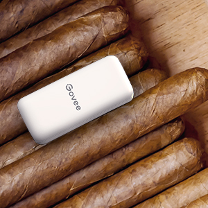 H5151 mini smart hygrometer