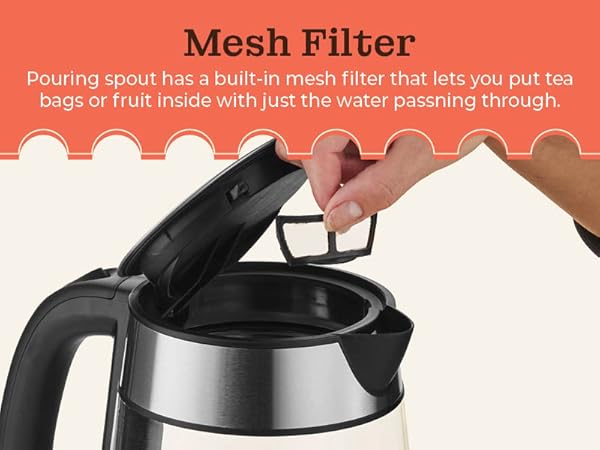 mesh filter