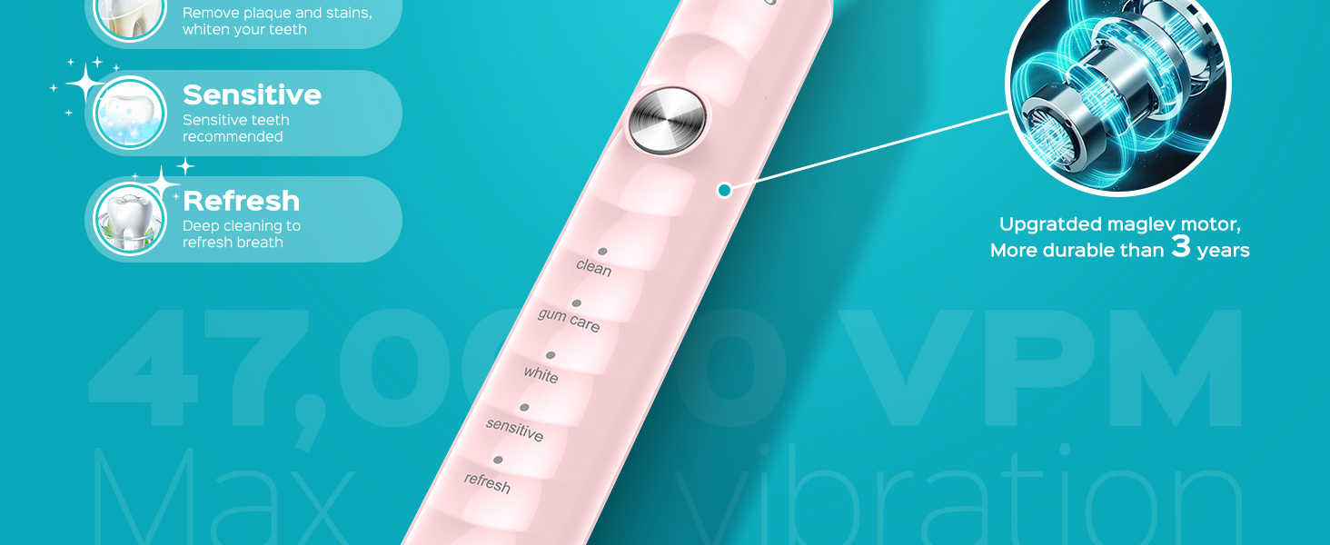 Electric Sonic Ultrasonic Toothbrush Adults Kids Cepillo de dientes ultrasónico eléctrico sónico