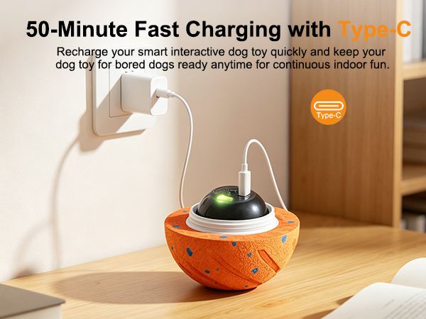 50-Minute Fast Charging with Type-C