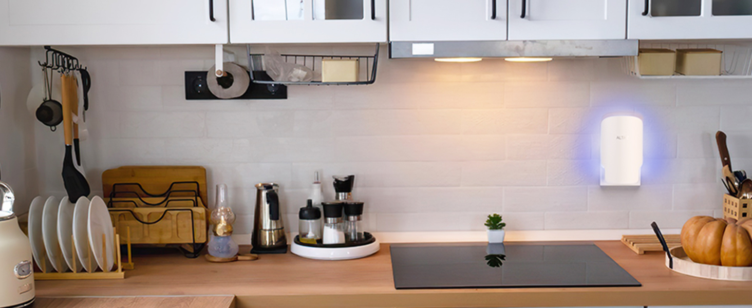 indoor fly trap for home