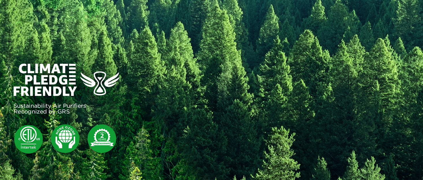 air purifiers for home large room