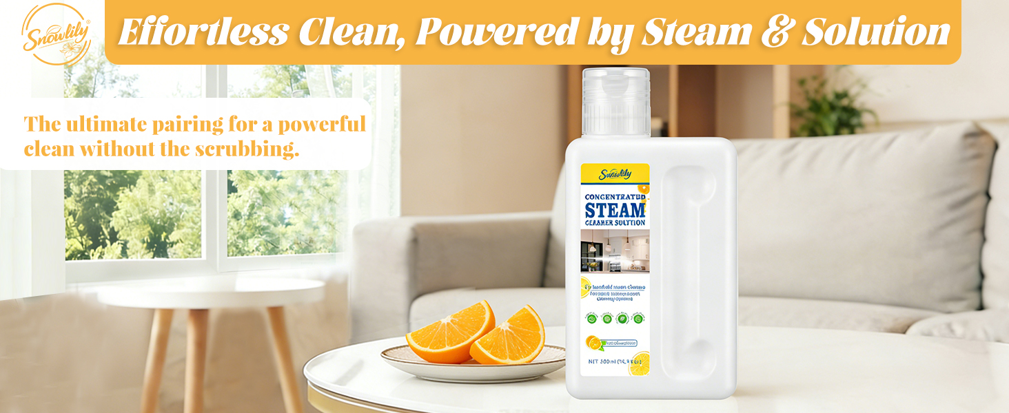 steam cleaner solution