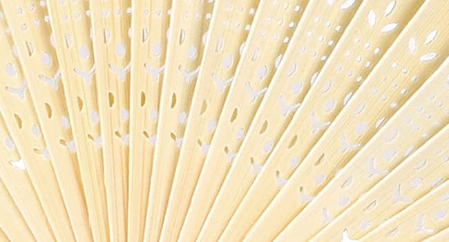 Handheld Folding Fans