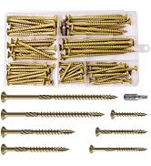 Wensilon Deck Screws kit #8#10 Exterior Wood Screws kit, Rust Resistant epoxy Coated, Bronze, T25...