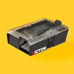 Victor Catch &amp; Hold Mouse Trap