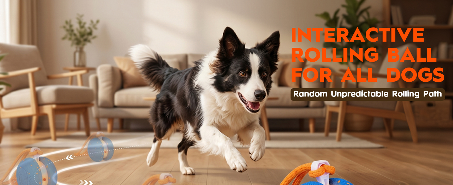 Interactive Rolling Dog Balls