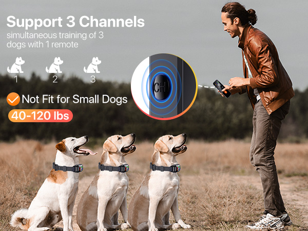 shock collar for dogs