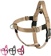 dog harness