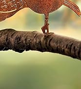 GWHOLE 4Pcs Rusty Metal Birds, Outdoor Decor Garden Bird Statue Metal Yard Art Ornaments for Gard...