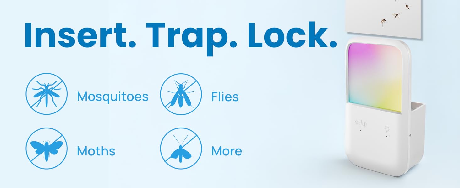 Fly Trap