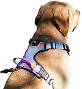 LED Light Up Dog Harness: USB Rechargeable Glowing Waterproof Reflective No Pull Adjustable Oxfor...
