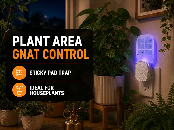 plant area