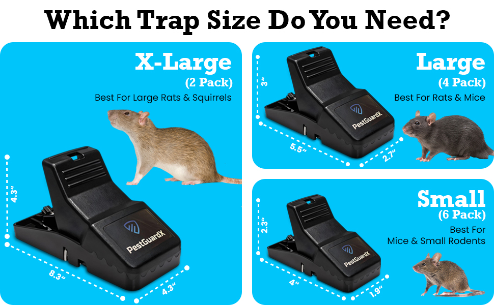 Extra Large Reusable Mouse &amp; Squirrel Trap