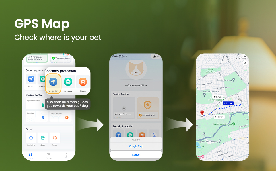 dog gps tracker
