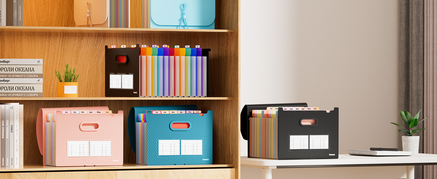 accordion file organizer 12 pocket