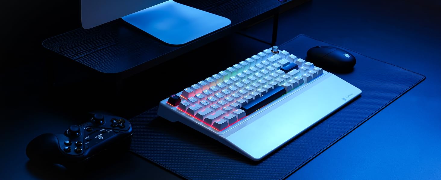 Hexgears E2sPro Mechanical Gaming Keyboard with Wrist Rest
