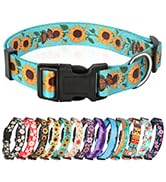 dog collar