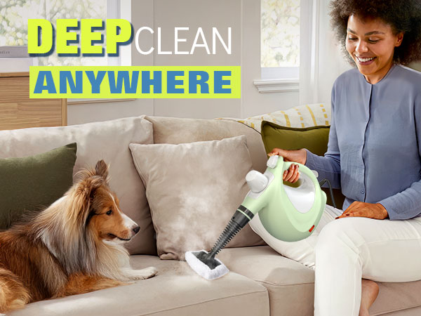 steam cleaner 