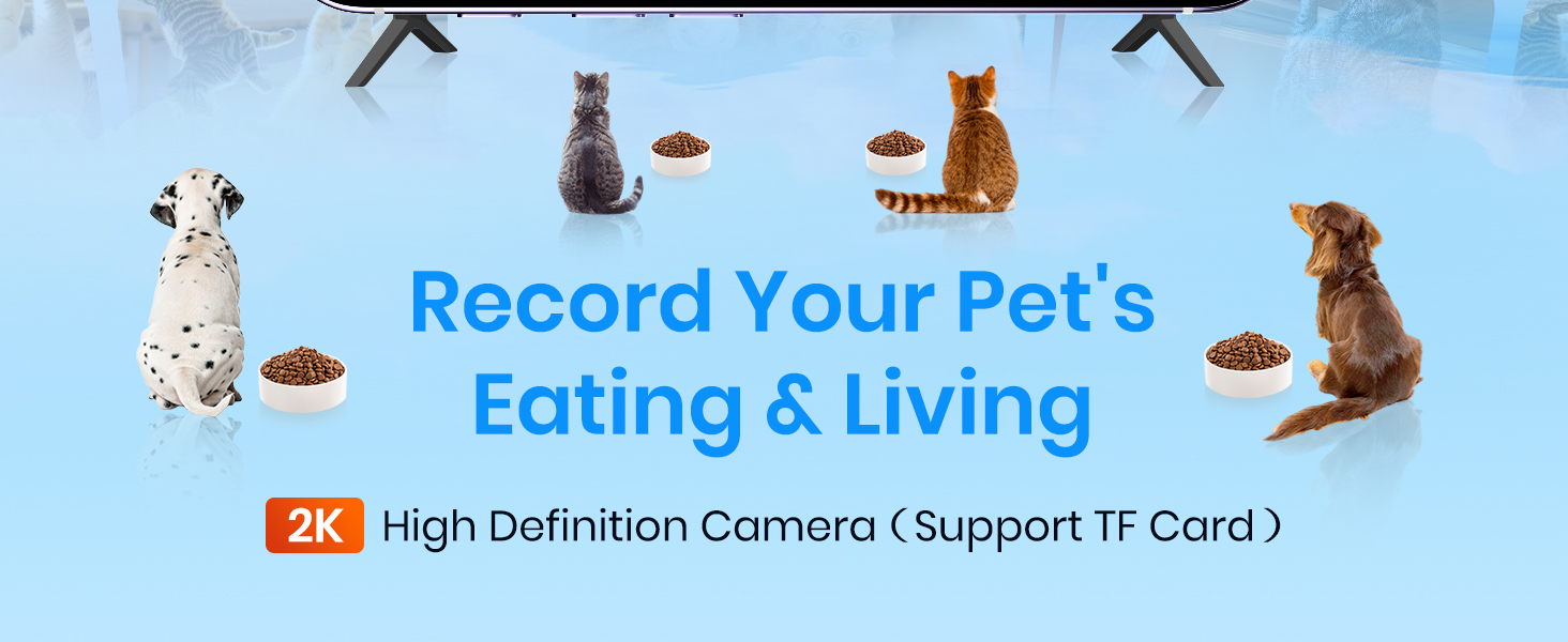 automatic cat feeder with camera