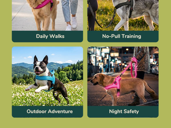medium dog harness for Daily Walks