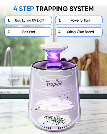 mosquito bits zevo flying insect trap plug in indoor fly trap fly killer fly swatter for indoors