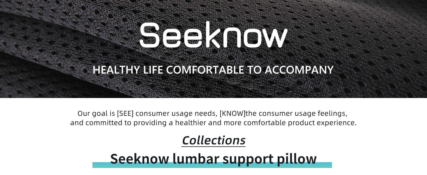 Seeknow lumbar support office chair